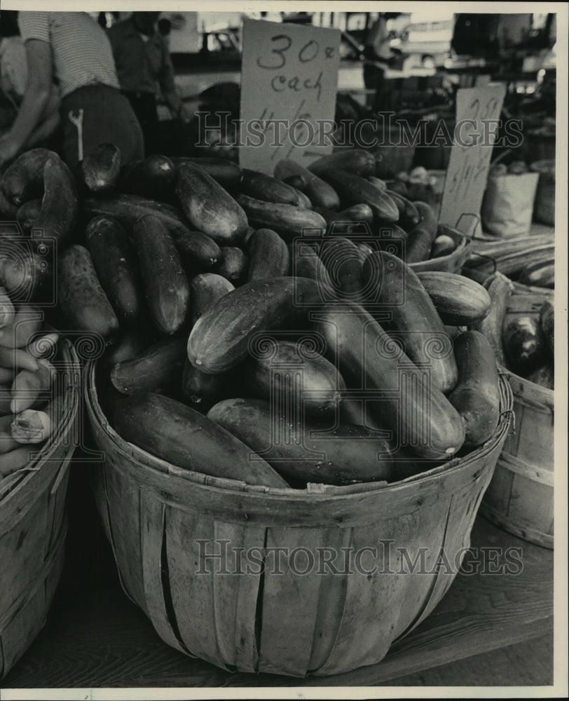 1983 Press Photo Plentiful cucumbers add crispness to summer meals - mja12492 - Historic Images