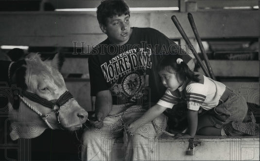 1992 Press Photo Elizabeth Markham offers hay to a polled Hereford with brother-Historic Images