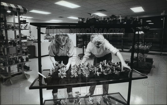 1983 Press Photo Yvonne Menke and Marian Schrubbe, both seniors - mja13234-Historic Images