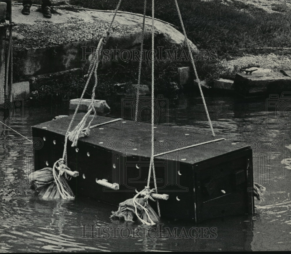 1984 Press Photo Coffin with Anthony King trussed inside lowered in Sheboygan Rv - Historic Images