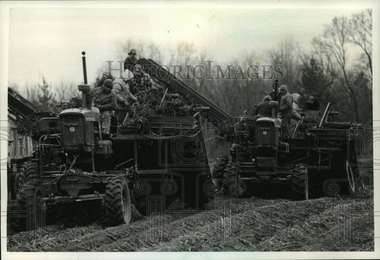 1993 Press Photo Silver Springs Gardens in Eau Claire,major horseradish producer-Historic Images