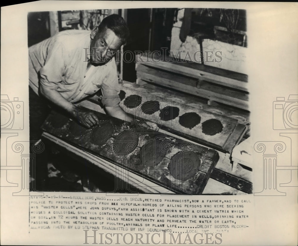 1948 John Dupuys with cement matrix containing &quot;master cells&quot; - Historic Images