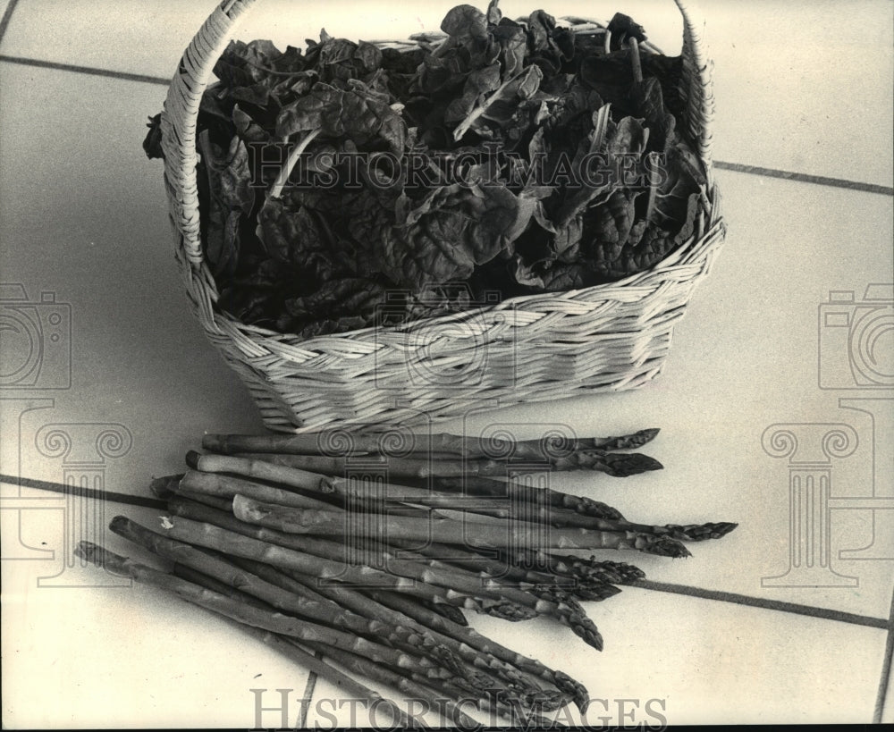1988 Press Photo Asparagus roots planted this spring - mja20066-Historic Images