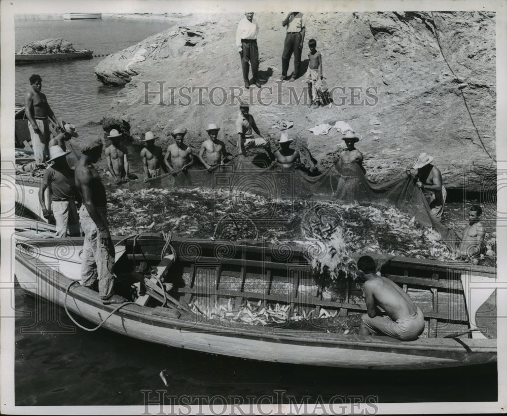 1954 Press Photo Fishermen put their sardine catch in a boat in Venezuela - Historic Images