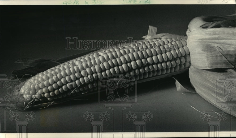 1986 Press Photo Corn on Cob - mja20093 - Historic Images