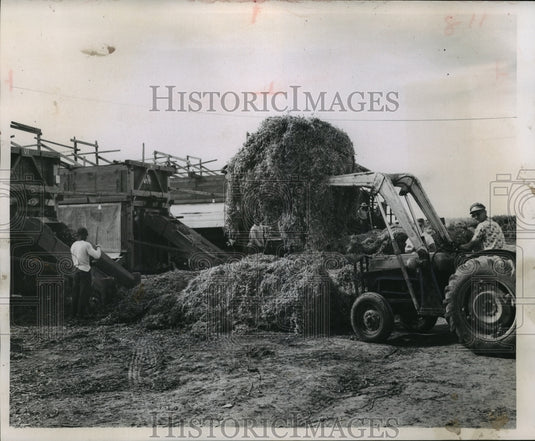1958 Press Photo Area residents and migrant workers at north of Appleton - Historic Images