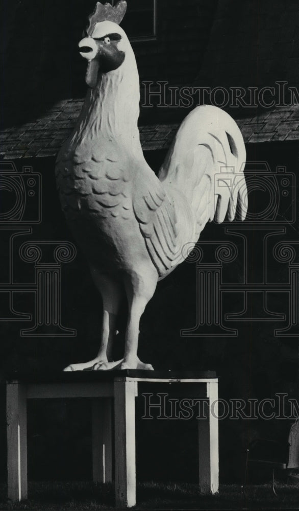 1986 Press Photo Waukesha County chicken, S&R Egg Farm, Town of Waukesha - Historic Images