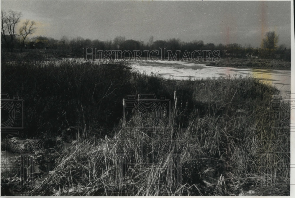 1988 Press Photo Wetlands Untouched by Bulldozers - mja24134 - Historic Images