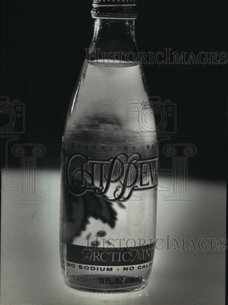 1993 Press Photo Chippewa Springs sparkling water from Chippewa Falls, Wis. - Historic Images