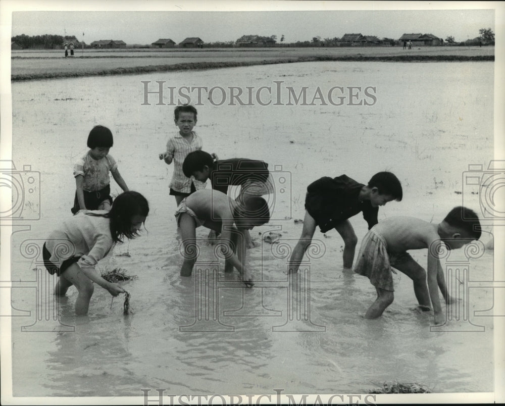 1959 Press Photo For these youngsters, splashing in puddles is work, Vietnam - Historic Images