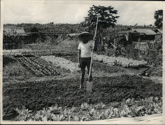 1962 Press Photo Farmer on his farm in the central highlands near Banmethuot - Historic Images