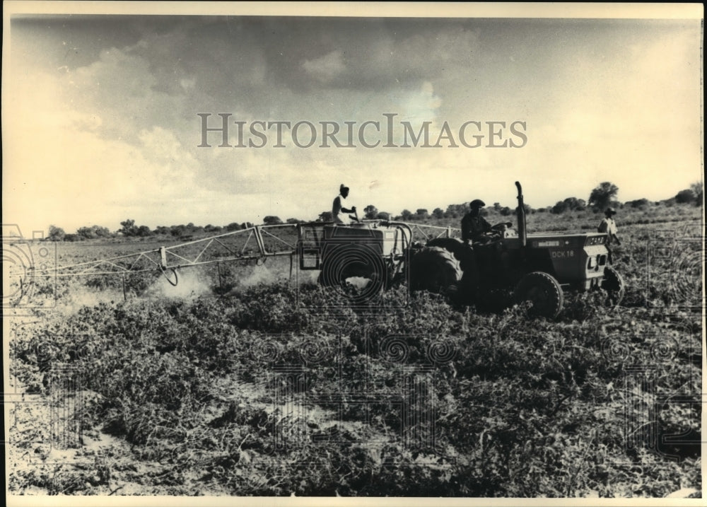 1987 Press Photo Farmers in Kenya use extensive amounts of pesticides on crops - Historic Images