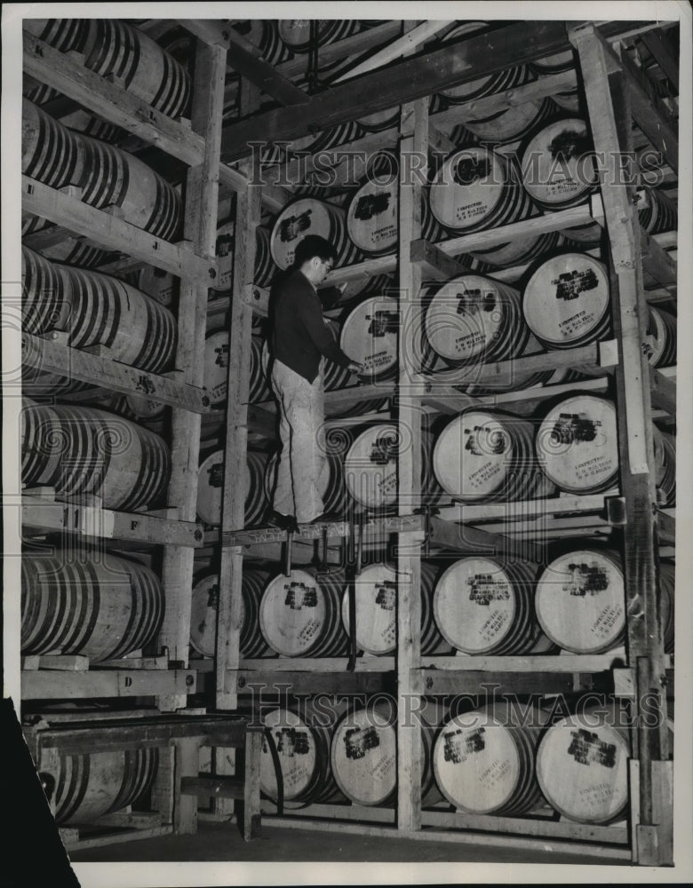 1937 Press Photo Philo Biane, inspects barrels of brandy at Gasti Yearly.-Historic Images