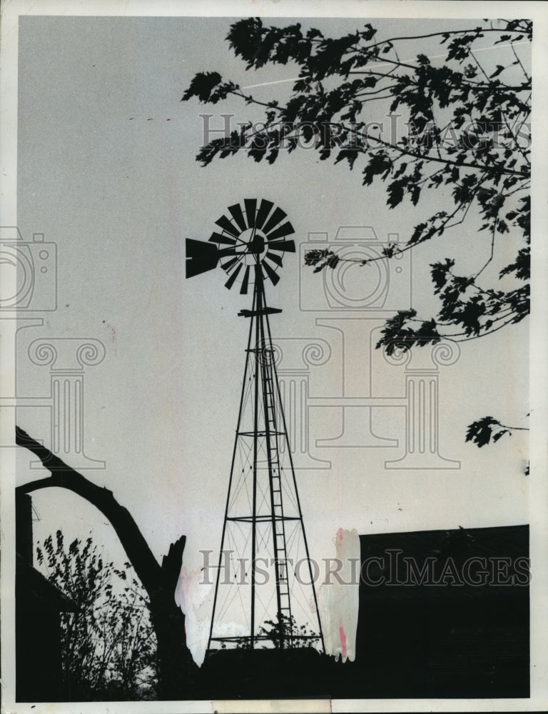 1974 Press Photo Windmill, outbuildings at John Manthey farm in Harmony Township-Historic Images