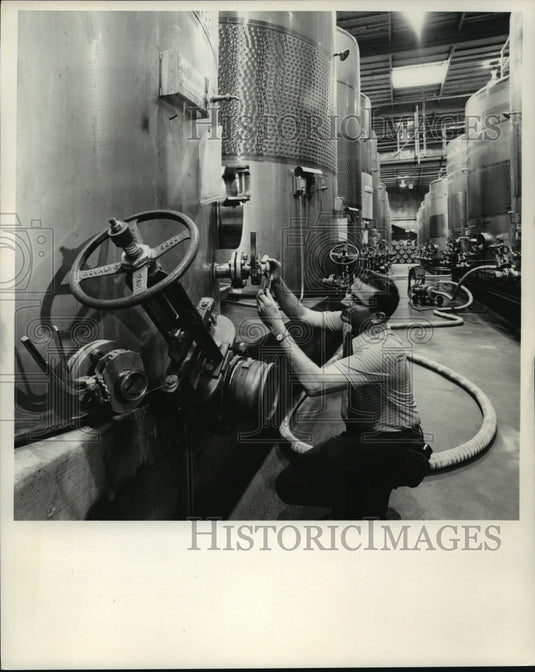 1975 Press Photo Armand Bussone, Asst Wine master of Geyser Peak Winery-Historic Images
