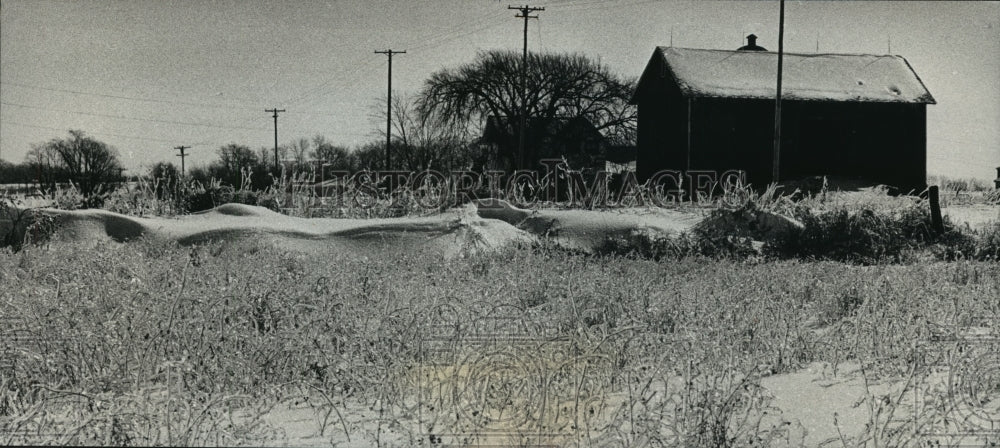 1989 Press Photo Ice coated grass along County Highway BB in Jefferson County-Historic Images