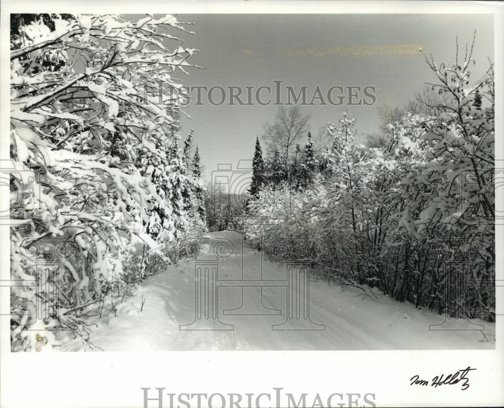 1991 Press Photo Snow on road near Trout Lake in Vilas County - mja35443-Historic Images