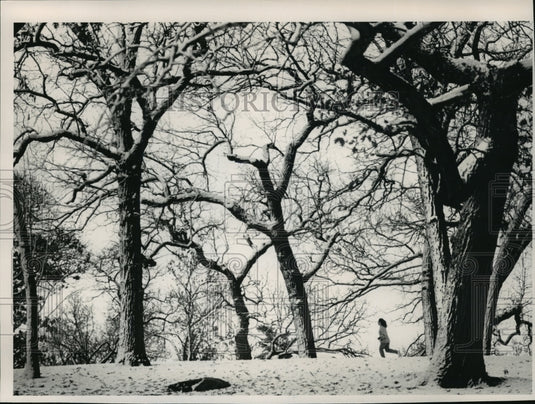 1992 Press Photo Ellen Vigil Kramer running through the snow in Madison-Historic Images