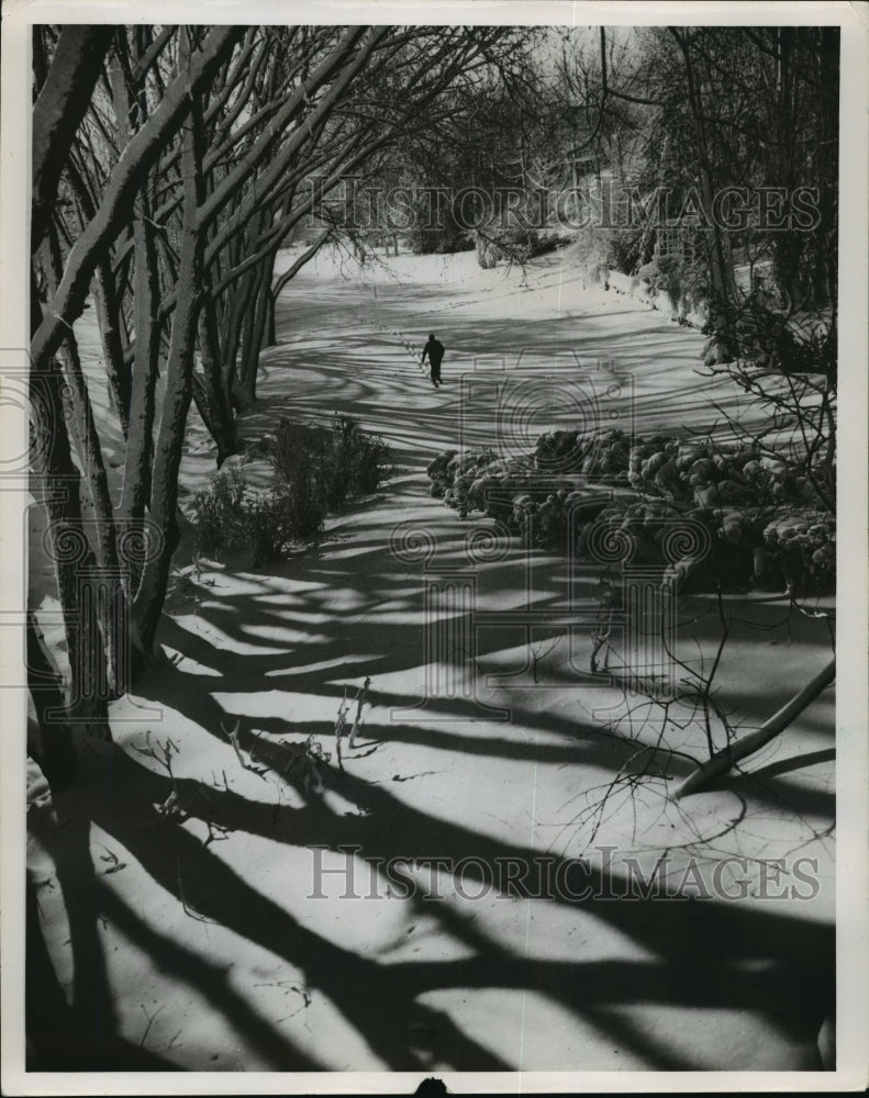 1942 Press Photo forest winter views - mja35654-Historic Images