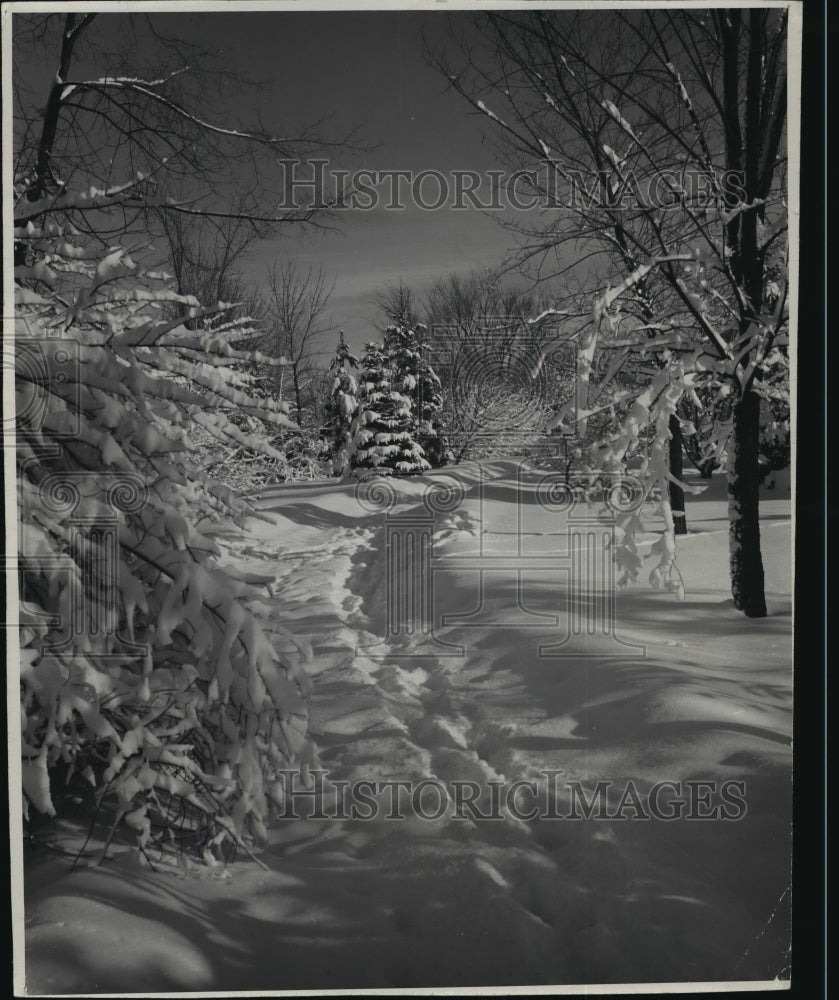 1952 Press Photo snowy scene in Brown Deer Park - mja35662-Historic Images