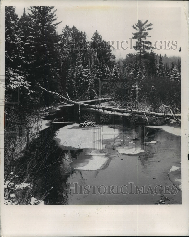 1973 Press Photo snow covered Bearskin Creek in the town of Harshaw - mja35663-Historic Images