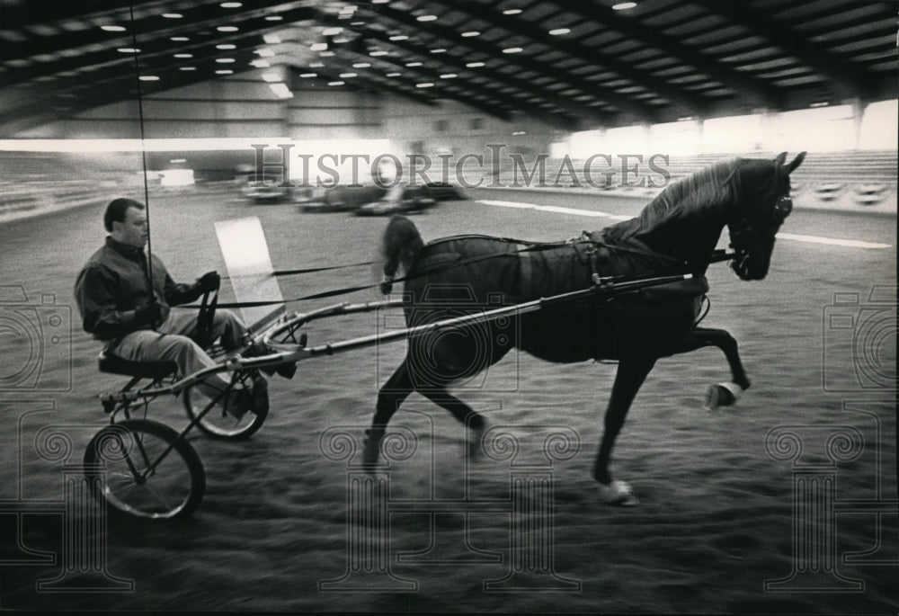 1992 Chanhassen, Minnesota&#39;s Andy Freseth Trains Horse With Jog Cart - Historic Images