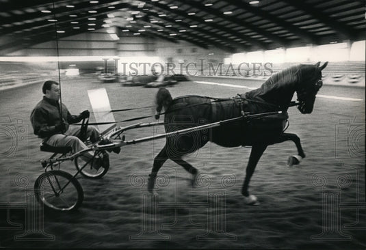 1992 Chanhassen, Minnesota's Andy Freseth Trains Horse With Jog Cart - Historic Images