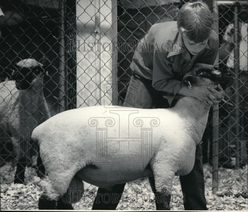 1984 Press Photo Greg Vitler of Hartland got his sheep into position for judging-Historic Images