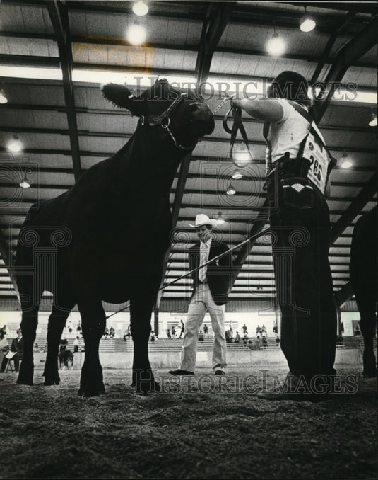 1981 Press Photo Judge Robert Kropp looking over Angus Steer at Wisconsin Fair - Historic Images