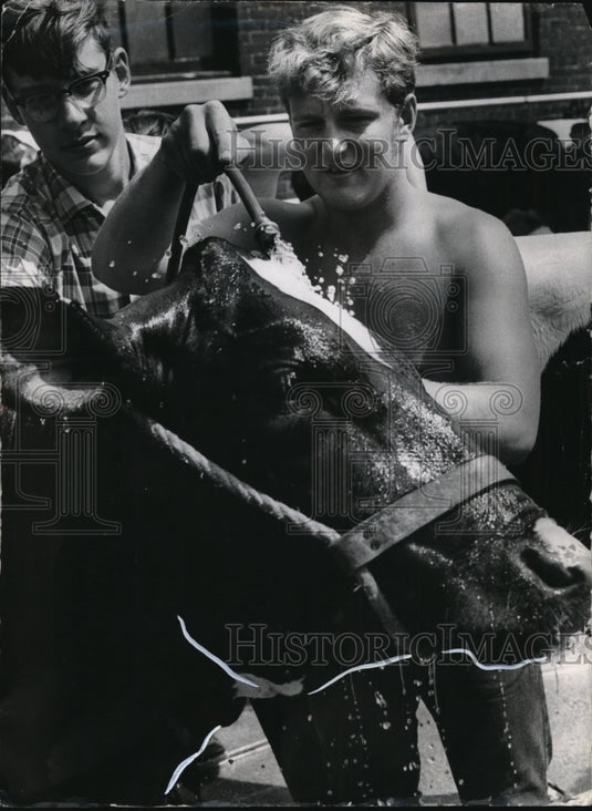 1969 Press Photo Gary Rammer & Randall Boland- Holstein show at Wisconsin Fair-Historic Images