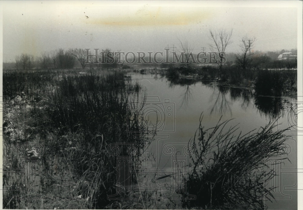 1990 Press Photo Wetland Adjacent to Zion Creek Prevents Flooding - mja37319-Historic Images