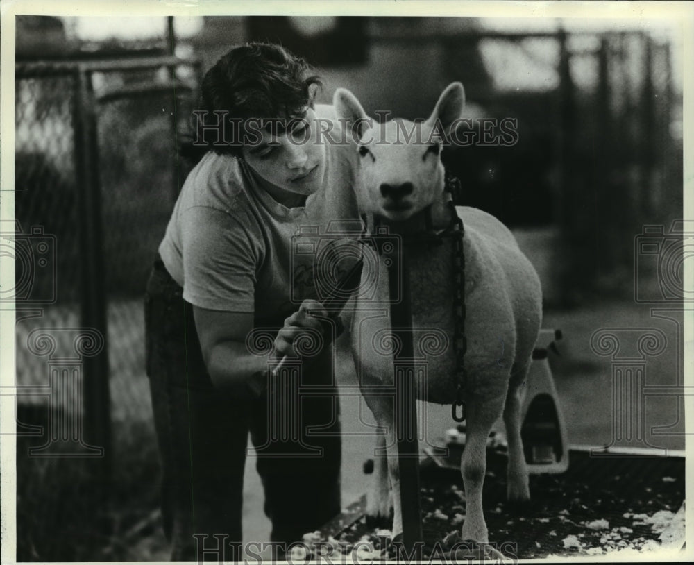 1982 Press Photo Jeni Jochums Trimming Sheep at the Wisconsin State Fair-Historic Images