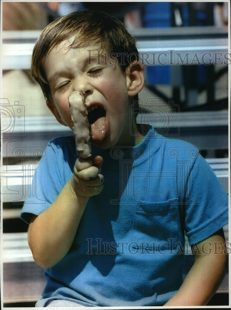 1993 Press Photo Wisconsin State Fair child enjoying an ice cream bar-Historic Images