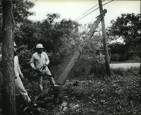 1982 Press Photo Wisconsin Electric Power Company Employees Cutting Trees-Historic Images
