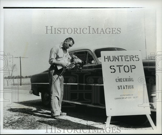 1993 Press Photo Carroll D. Besadny Checks a Pheasant in 1953 - mja40066-Historic Images