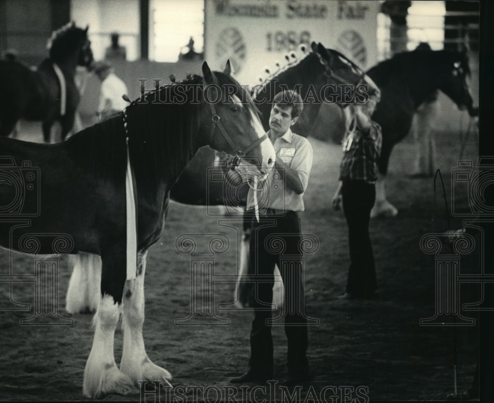 1986 Press Photo Gary Parrett Examining a Clydesdale At The Wisconsin State Fair-Historic Images