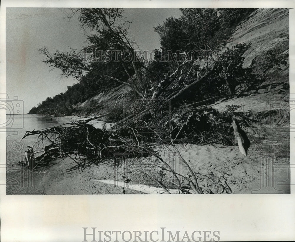 1978 Press Photo A Twisted Mess Along The Shore Near Grant Park, Lake Michigan - Historic Images