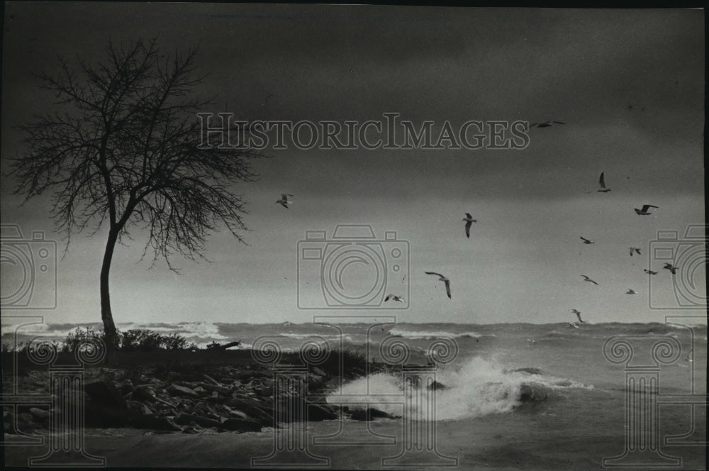 1983 Press Photo Breezy Transportation, Lake Front on a Stormy Day - mja42113-Historic Images