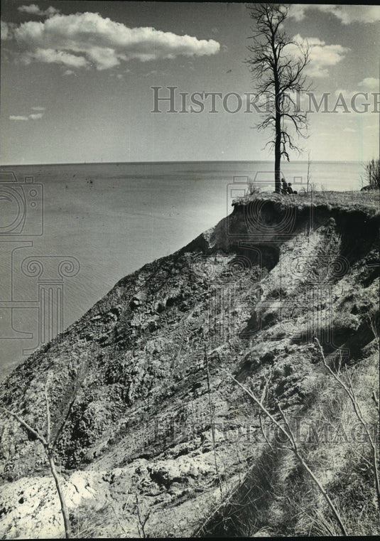 1984 Press Photo couple sitting under tree on eroding bluff near Port Washington-Historic Images