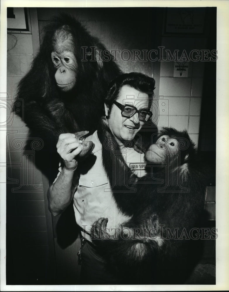 1979 Press Photo Sam LaMalfa with Orangutans Trick and Treat - mja44156-Historic Images