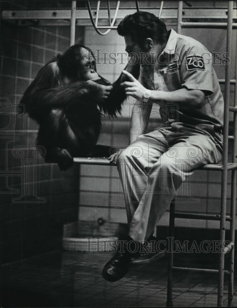 1981 Press Photo Sam LaMalfa and Orangutan, Treat - mja44158-Historic Images