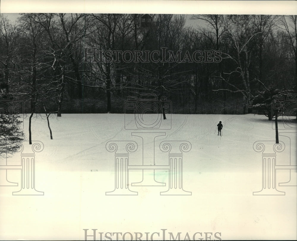 1984 Press Photo Skier at Lake Park in Milwaukee, Wisconsin - Historic Images