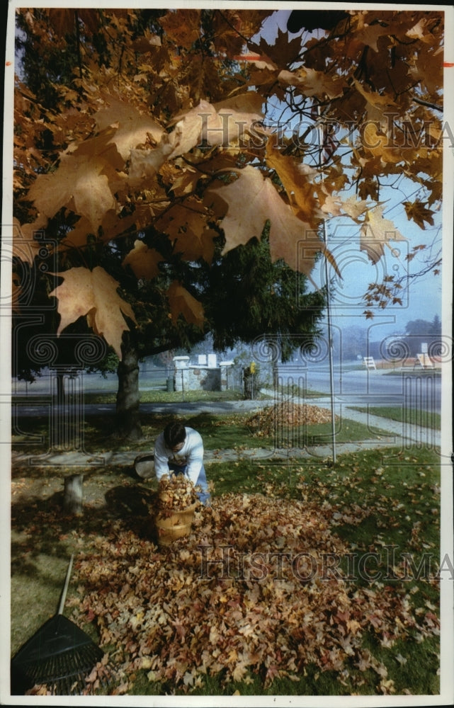1993 Press Photo Gary Brach gathers Autumn leaves in front of his home - Historic Images