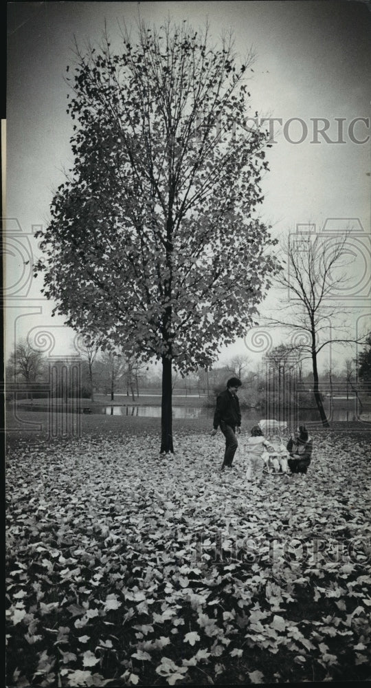 1983 Press Photo Brown Deer Park In Fall Leaves Playground For A Family&#39;s Fun - Historic Images