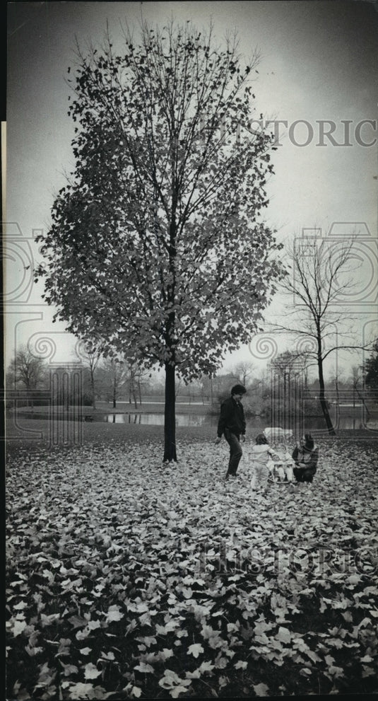 1983 Press Photo Brown Deer Park In Fall Leaves Playground For A Family's Fun - Historic Images