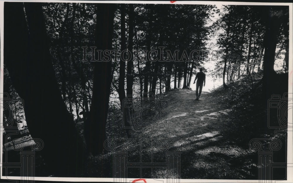 1985 Press Photo Path in S. Fairy Chasm Association along Lake Mi., Bayside Wis. - Historic Images