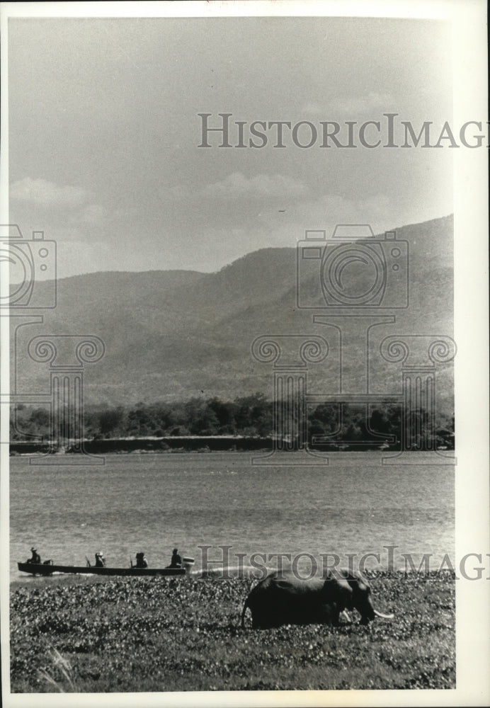 1991 Press Photo An elephant rests next to Zambezi River, Zimbabwe - mja48548 - Historic Images