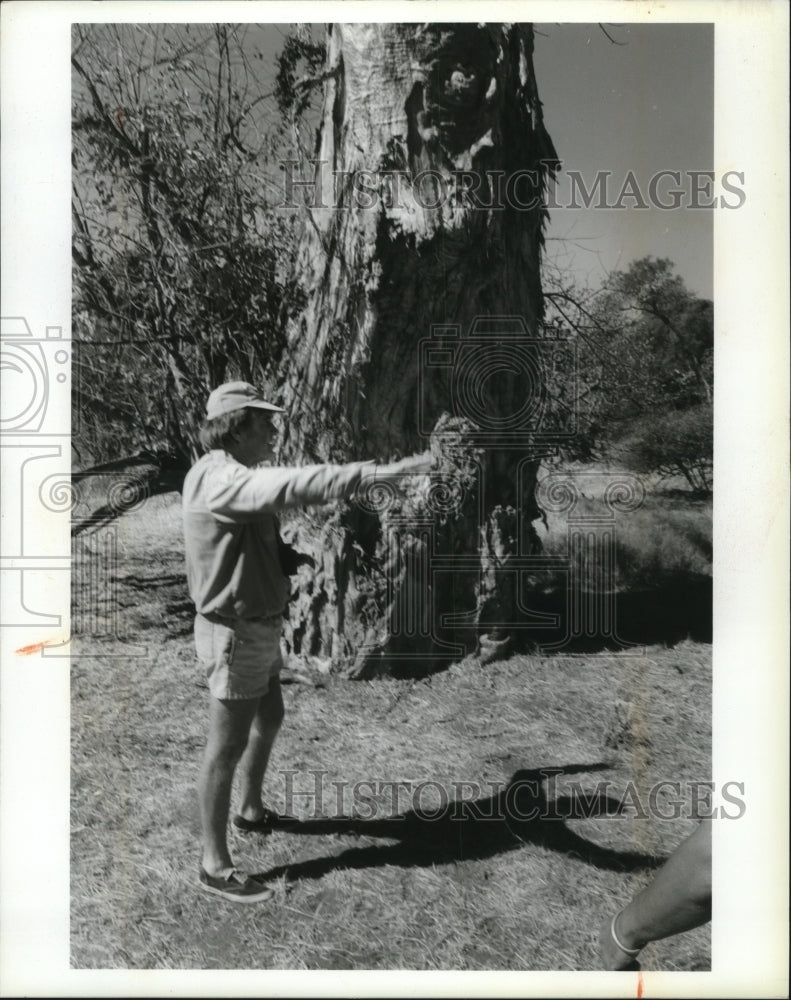1994 Press Photo Colin Lowe in Zambia near a Baobab Tree - mja48759-Historic Images