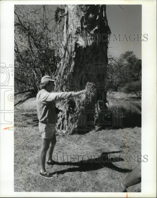 1994 Press Photo Colin Lowe in Zambia near a Baobab Tree - mja48759-Historic Images