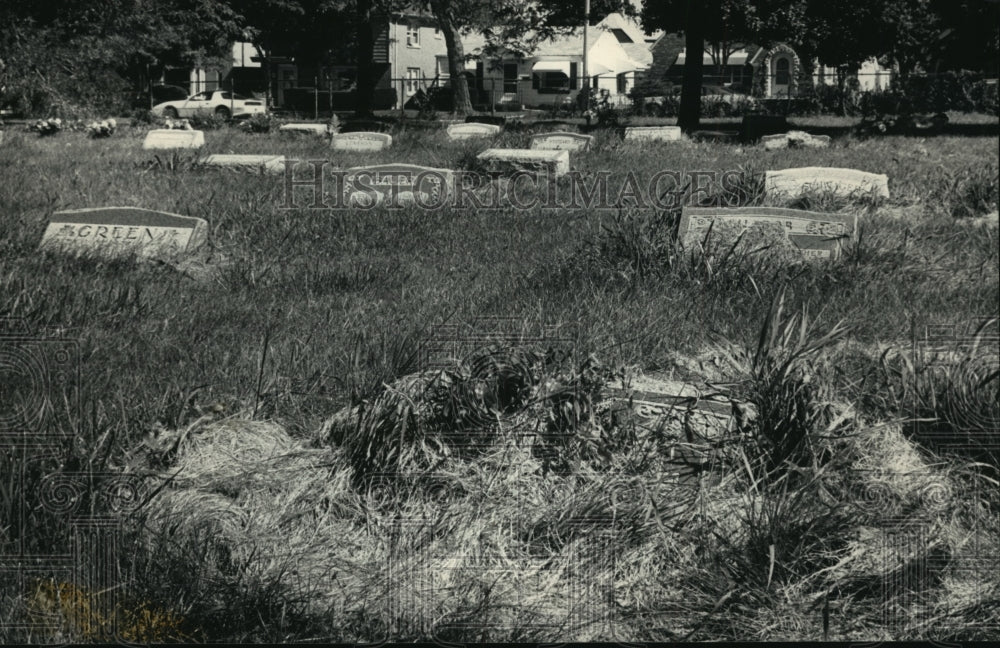 1986 Press Photo Weeds covering grave markers at a Milwaukee cemetery - Historic Images